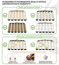 Інкубатор автоматичний Теплуша Euro 88 PRO 220в комбінований корпус - мініатюра 10