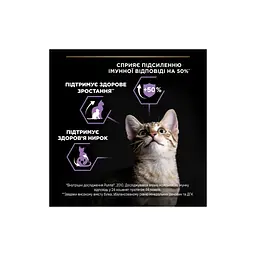 Сухий корм для кішок Purina Pro Plan Original Kitten до 12 місяців з куркою 1.5 кг (7613036505178) - мініатюра 6