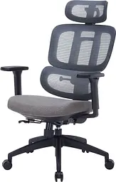 Офісне крісло OfficePro Skyline OC580-B-DG-DG (OC580-B-DG-DG)