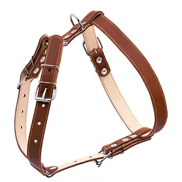 Шлейка подвійна CoLLaR для середніх собак (4820152563170) - мініатюра 2