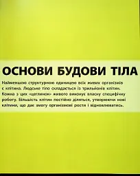 Енциклопедія знань. Тіло людини - мініатюра 6