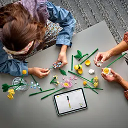 Конструктор LEGO Botanicals Мініатюрний сонячний букет 373 деталі (10347) - мініатюра 11