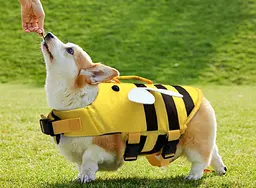 Рятувальний жилет для собак Derby Bee Design Dog Life Vest, L