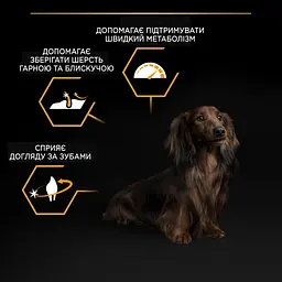 Сухий корм для дорослих собак дрібних порід Purina Pro Plan Adult Small & Mini, з куркою, 7 кг (12376022) - мініатюра 7