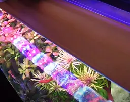 Світильник для акваріума SunSun SL-400 RWB LED 10 Вт червоно-біло-синій 40-55 см - мініатюра 3