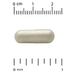 Ниацин (B-3) NMN Complex 60 Capsules CGN vit0005282 - миниатюра 3