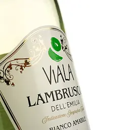 Упаковка вина ігристого Viala Lambrusco dell Emilia IGP білого напівсолодкого 4.5 л (0.75 л х 6 шт.) - мініатюра 3