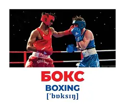 Види спорту. Геній з пелюшок - - мініатюра 2