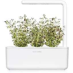 Змінний картридж Click & Grow Smart Garden Чебрець, 3 капсули (7373) - мініатюра 4