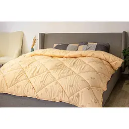 Ковдра ТЕП Dream Wool 200x210 см (1-02559_00000)