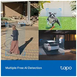 Камера відеоспостереження TP-Link TAPO-C520WS - мініатюра 2