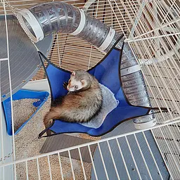 Клітка Ferplast Furet XL для тхорів - мініатюра 9