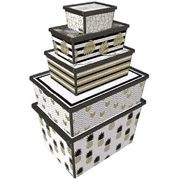 Коробка Qutu Trend Box Pineapple Life 5 л 33.5x19x11.5 см (TREND BOX с/к PINEAPPLE LIFE 5л.) - мініатюра 2