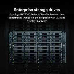 Жорсткий диск Synology 3.5" 20TБ SATA 7200 - мініатюра 2