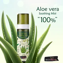 Спрей для обличчя Skinpastel Aloe Vera Soothing Gel Mist заспокійливий 100 мл - мініатюра 2