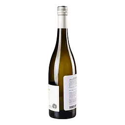 Вино iгристе Daniele Saccoletto Moscato EVViva, 0,75 л, 5% (707743) - мініатюра 2
