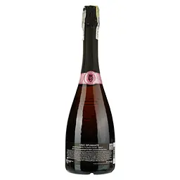 Вино ігристе Bortolomiol Filanda Rose, рожеве, брют, 12%, 0,75 л (96290) - мініатюра 2