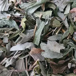 100 г вербена лимонна трава - свіжий урожай