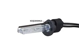 Ксенонова лампа Infolight H1 6000K +50%