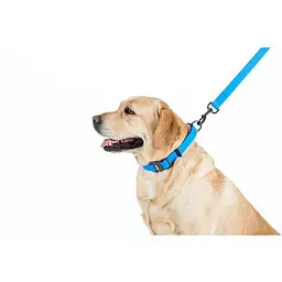 Повідець для собак Waudog Waterproof водостійкий L-XXL, блакитний - мініатюра 4