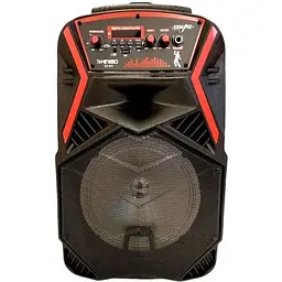 Акустична система XPRO 895 з мікрофоном (MER-15704_2772) - мініатюра 4