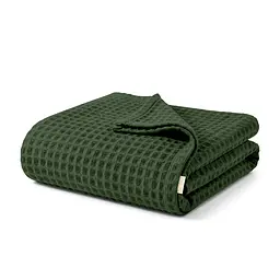 Плед-покривало Cosas Greek Waffle Basil вафельне 160х230 см (Blanket_54Basil_GreekWaffle_160x230)