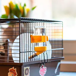 Клітка Ferplast Cage Criceti 9 Pirates для хом`яків - мініатюра 7