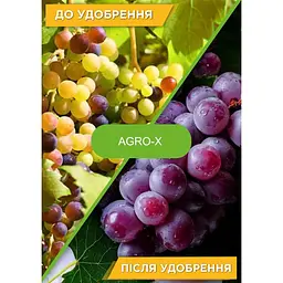 Мінеральне добриво Agro-x Biohyper extra Біохайпер Екстра для винограду 100 г (47231) - мініатюра 3