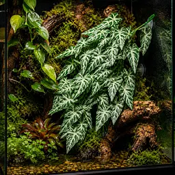 Штучна рослина Hobby Climber Aureum 70 см (37725) для тераріуму, акватераріуму та палюдаріуму - мініатюра 4