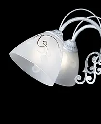 Люстра стельова з білим плафоном Splendid-Ray 30-3906-89 - мініатюра 2