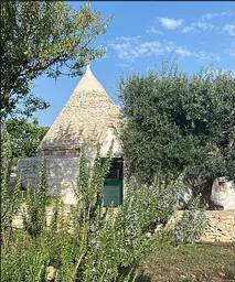 Love Shacks: Romantic cabin charmers, modern getaways and rustic retreats around the world - мініатюра 6