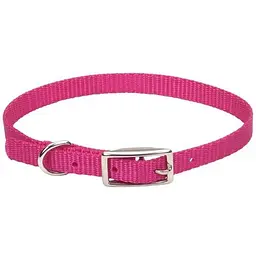 Нашийник для собак Coastal Nylon Web 1х25 см (00301_PKF10)