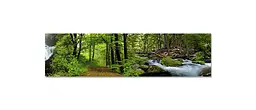 Вініловий кухонний фартух Ліс Водоспад наклейка для кухні ПВХ дерева Зелений Happy Pocket Z181857 - мініатюра 6