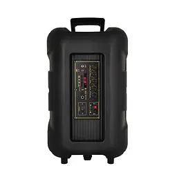 Акустична система XPRO RX-1228 чорна (MER-15714_2911) - мініатюра 4