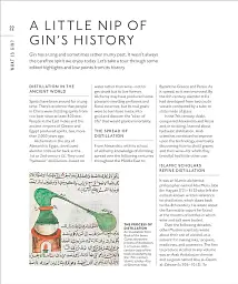 Gin. A Tasting Course - мініатюра 7