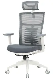 Офісне крісло OfficePro Balance OC550-W-DG-OR (OC550-W-DG-OR) - мініатюра 3