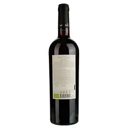 Вино Chateau Mukhrani Shavkapito, червоне, сухе, 13%, 0,75 л (713960) - мініатюра 2