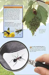 Bug Hunter. Nature Activities - мініатюра 3