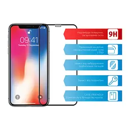 Скло захисне ACCLAB Full Glue Apple iPhone X/XS/11 Pro (1283126508189) - мініатюра 2