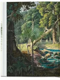 The Book of Palms - мініатюра 10