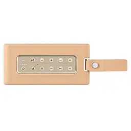 Портативна колонка 2E SoundLegend Brown 80 Вт, BT 5.3, TWS, FLAC, MP3, WAV, EQ, Power Bank, IPX6, RGB - мініатюра 4