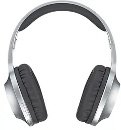 Гарнітура Panasonic RB-HX220BEE-S (RB-HX220BEES) - мініатюра 3