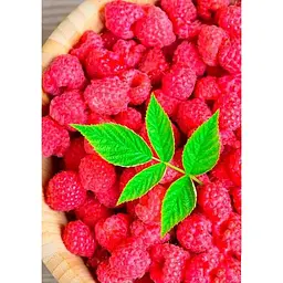 Саджанець Agro-Market Малина Діамантова (ремонтантний великоплідний сорт) 2 шт. в упаковці (17671) - мініатюра 2