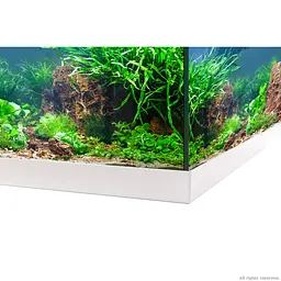 Акваріумний комплект Eheim aquastar 54 LED білий (0340646) - мініатюра 7