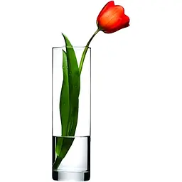 Ваза Pasabahce Botanica циліндр 26 см (43767) - мініатюра 3