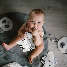 Іграшка-обіймашка BabyOno Кошеня з шурхотінням для малюків 15х17.5 см (2136278053) - мініатюра 3