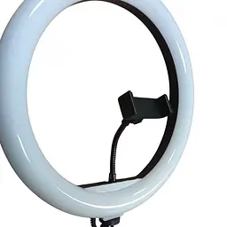 Кільцева Led-лампа 30 см LJJ-30 з тримачем для телефона 3 режими + RGB - мініатюра 2
