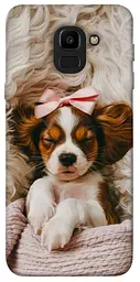 TPU чохол Demsky Sleepy spaniel для Samsung J600F Galaxy J6 (2018)