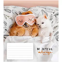 Зошит учнівський Школярик Be joyful always у клітинку 18 аркушів 25 шт. (018-3263K) - мініатюра 3