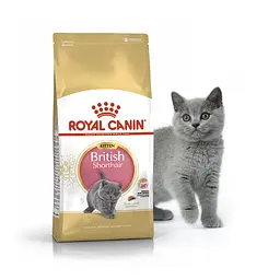 Сухий корм для кошенят Royal Canin Kitten British Shorthair 10 кг 2566100